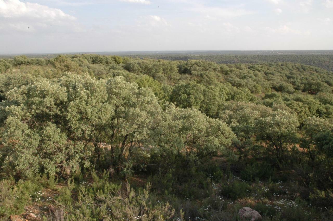 Casa Rural La Ossa Ossa de Montiel Kültér fotó