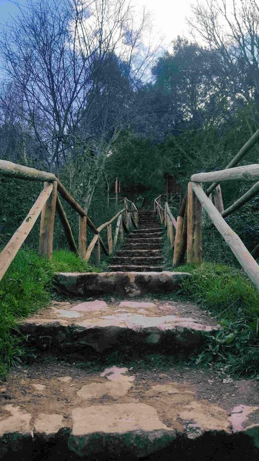 Casa Rural La Ossa Ossa de Montiel Kültér fotó